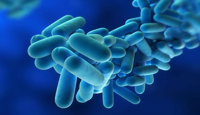 Ecco di nuovo la legionella… Ecco di nuovo la legionella…