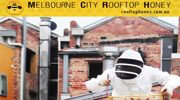 A Melbourne il miele si produce sui tetti del centro A Melbourne il miele si produce sui tetti del centro
