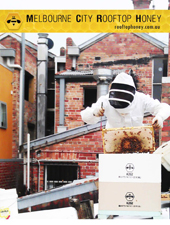 A Melbourne il miele si produce sui tetti del centro A Melbourne il miele si produce sui tetti del centro
