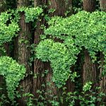 Global_map trees