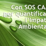 Plantleaf
