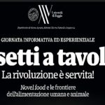 insetti a tavola