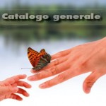 arco_grande_articolo