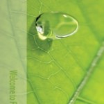 fead_home principale