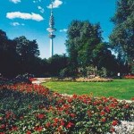 fiori