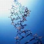 ingegnriagenetica principale