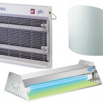 orma_grande_articolo